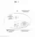 Fig. 02 - METHOD AND APPARATUS OF TEMPORARY LOCAL TRANSMISSION FOR DISASTER INFORMATION DELIVERY