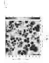 Fig. 06 - Mobility robustness optimization based on reference signal strength maps