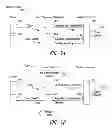Fig. 09 - SYSTEMS, METHODS, AND DEVICES FOR PROVIDING PURCHASES OF INSTANCES OF GAME PLAY AT A HYBRID TICKET/CURRENCY GAME MACHINE