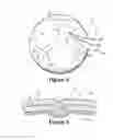 Fig. 03 - Sport ball casing and methods of manufacturing the casing