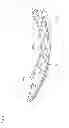 Fig. 03 - Chain tensioner lever