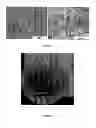 Fig. 02 - Core-shell particles with catalytic activity