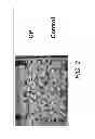 Fig. 03 - METHODS OF REDUCING PLANT STRESS