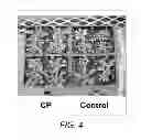 Fig. 05 - METHODS OF REDUCING PLANT STRESS