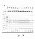 Fig. 07 - METHODS OF REDUCING PLANT STRESS