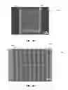 Fig. 05 - Efficient polarization independent single photon detector