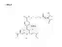 Fig. 06 - Combination of fluorescent dyes for the detection of nucleic acids