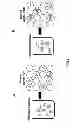 Fig. 02 - Identification of Linkage Using Multiplex Digital PCR