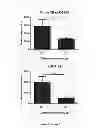 Fig. 06 - COMPOSITIONS AND METHODS FOR DETECTING ABERRANT REGULATION, EXPRESSION, AND LEVELS OF HGH