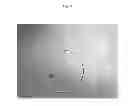 Fig. 09 - MICROENCAPSULATION OF LUBRICANT ADDITIVES