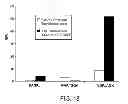 Fig. 33 - PEPTIDE PRODRUGS