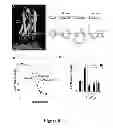 Fig. 11 - Pepducin design and use