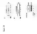 Fig. 13 - Pepducin design and use