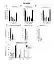 Fig. 15 - Pepducin design and use