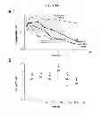 Fig. 17 - Pepducin design and use