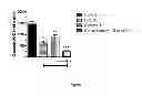 Fig. 02 - PHARMACEUTICAL COMPOSITION, METHODS FOR TREATING AND USES THEREOF