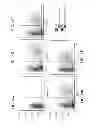 Fig. 42 - Anti-microbial peptides and uses of same
