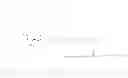 Fig. 41 - Double-acylated GLP-1 derivatives