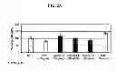 Fig. 03 - Mucin 3 EGF-like Domains