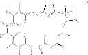 Fig. 02 - Macrocyclic therapeutic agents and methods of treatment