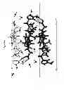Fig. 28 - Solid materials of {[(2S,5R,8S,11S)-5-benzyl-11-(3-guanidino-propyl)-8-isopropyl-7-methyl-3,6,9,12,15-pentaoxo-1,4,7,10,13-pentaaza-cyclopentadec-2-yl]-acetic acid} and methods for obtaining them