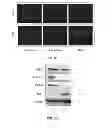 Fig. 07 - sGCalphal inhibiting compositions