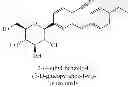 Fig. 08 - PHARMACEUTICAL COMPOSITION COMPRISING AN SGLT2 INHIBITOR AND A PPAR- GAMMA AGONIST AND USES THEREOF