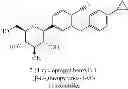 Fig. 09 - PHARMACEUTICAL COMPOSITION COMPRISING AN SGLT2 INHIBITOR AND A PPAR- GAMMA AGONIST AND USES THEREOF