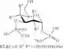 Fig. 22 - POLYPHOSPHATE AND PYROPHOSPHATE DERIVATIVE OF SACCHARIDES
