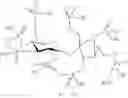 Fig. 32 - POLYPHOSPHATE AND PYROPHOSPHATE DERIVATIVE OF SACCHARIDES