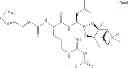 Fig. 166 - Proteasome inhibitors and methods of using the same