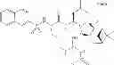 Fig. 293 - Proteasome inhibitors and methods of using the same
