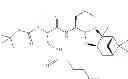 Fig. 45 - Proteasome inhibitors and methods of using the same