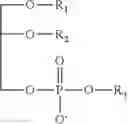 Fig. 05 - Omega-3 compositions