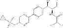 Fig. 08 - Phenicol antibacterial agents