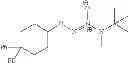 Fig. 20 - Diazeniumdiolate cyclohexyl derivatives