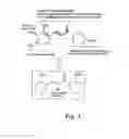 Fig. 02 - CHALCONE DERIVATIVES AS NRF2 ACTIVATORS