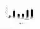 Fig. 04 - CHALCONE DERIVATIVES AS NRF2 ACTIVATORS