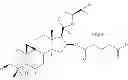 Fig. 49 - Compositions and methods for increasing telomerase activity