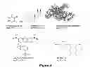 Fig. 04 - Compositions and methods for localized drug delivery through mammary papillae