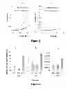 Fig. 05 - Compositions and methods for localized drug delivery through mammary papillae