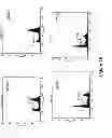 Fig. 14 - Compositions and methods for localized drug delivery through mammary papillae