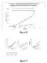 Fig. 33 - Compositions and methods for localized drug delivery through mammary papillae