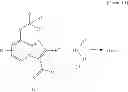 Fig. 16 - Imidazopyridine compounds