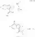 Fig. 19 - Imidazopyridine compounds