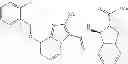 Fig. 981 - Imidazopyridine compounds