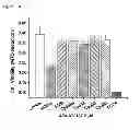 Fig. 19 - Compounds and methods for treatment of hypertension