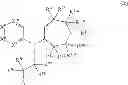 Fig. 24 - Azepino[4,5-B]indoles and methods of use