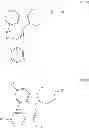 Fig. 577 - Azepino[4,5-B]indoles and methods of use