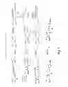 Fig. 08 - Cytotoxic benzodiazepine derivatives and methods of preparation